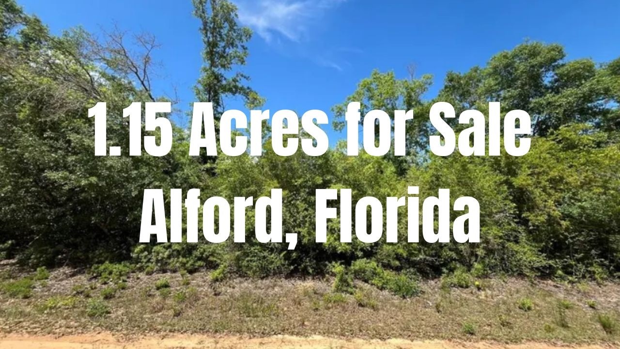 1.15 Acres Mobile Home Lot for Sale in Alford, Florida!