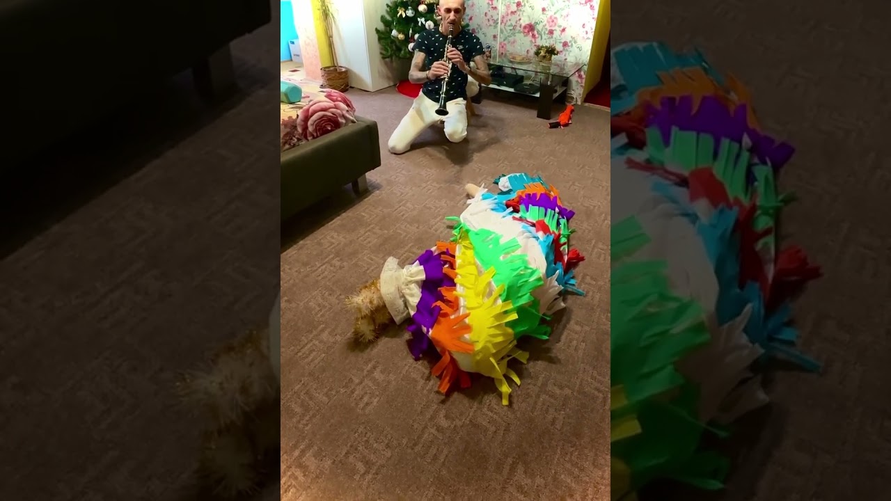 *DANSUL CAPREI -Ca la TIMISOARA*