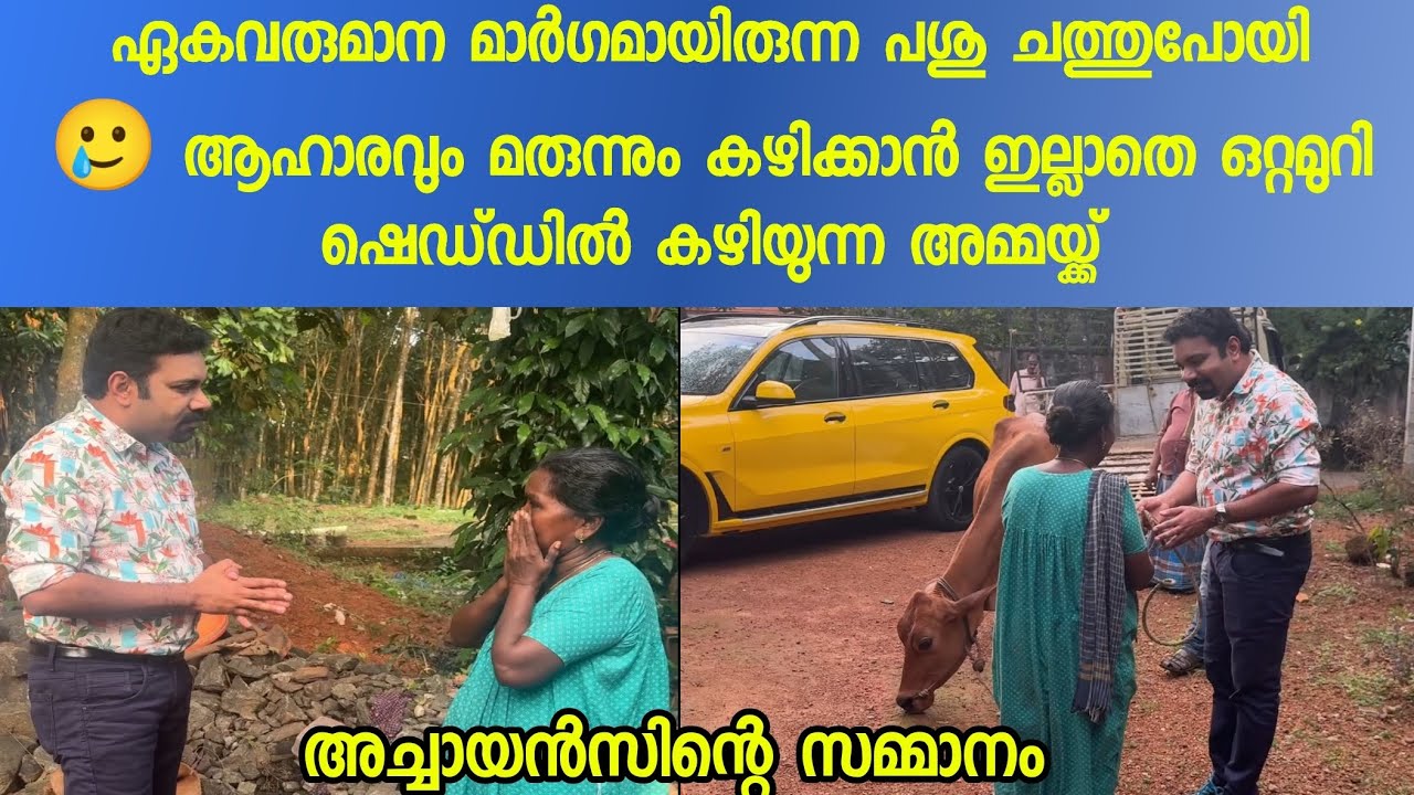 അമ്മയ്ക്ക് സർപ്രൈസായി കറവ പശുവിനെ വാങ്ങി നൽകി... ആ മുഖത്തെ സന്തോഷം മാത്രം മതി എനിക്ക് 🙏🏻