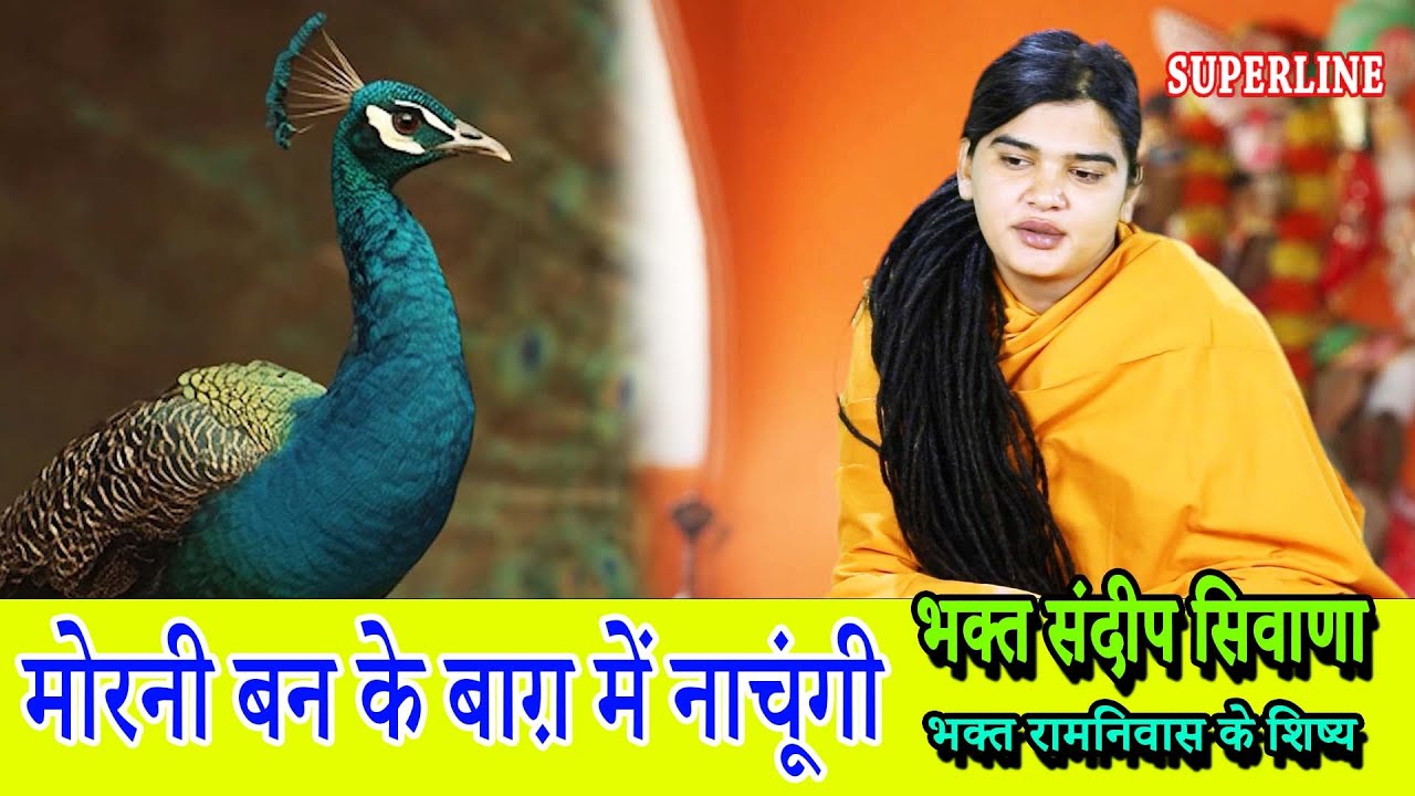 मोरनी बन के बाग़ में नाचूंगी || SANDEEP SIWANA || MORNI BAN KE BAAGH MEIN NACHUNGI