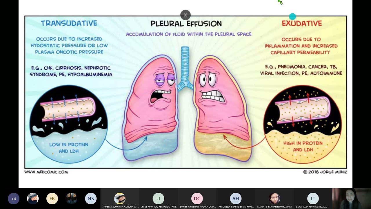 LABORATORIO DE LÍQUIDOS CORPORALES  PLEURAL, ASCÍTICO, ARTICULAR