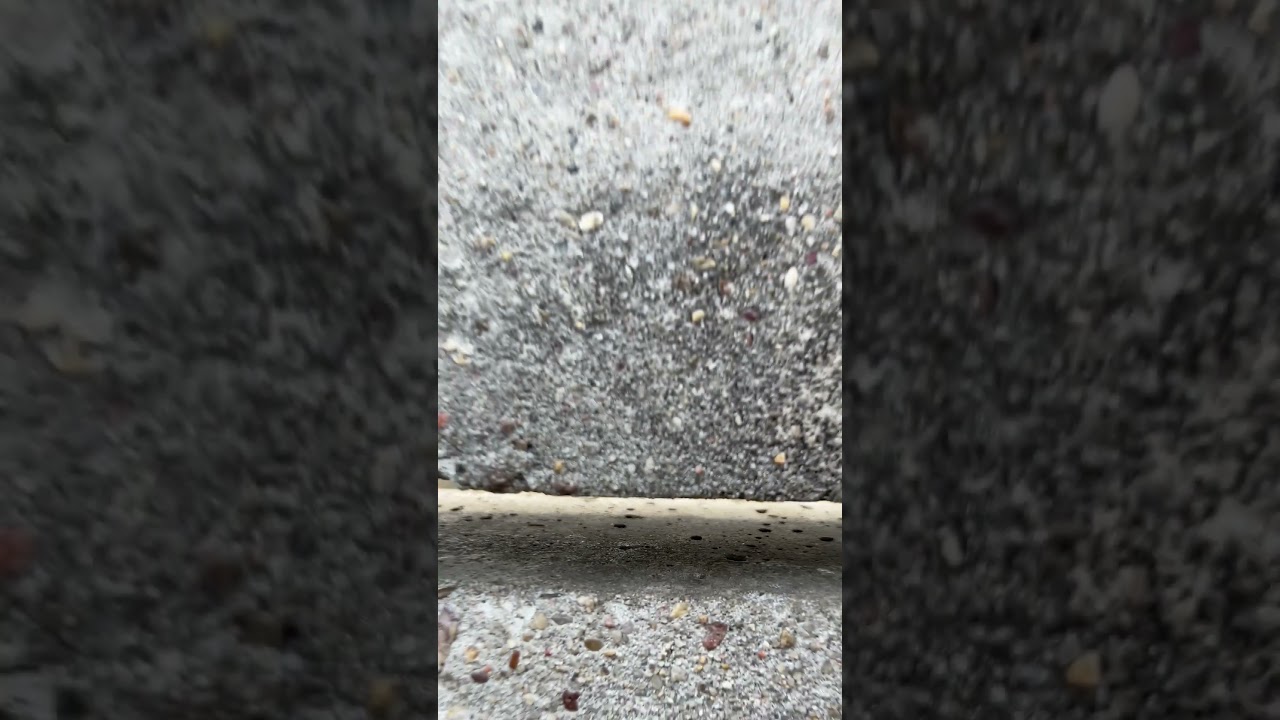 Berlin Wall - East and West Berlin Private Walking Tour #berlin #walkingtour #germany #tour #tourism