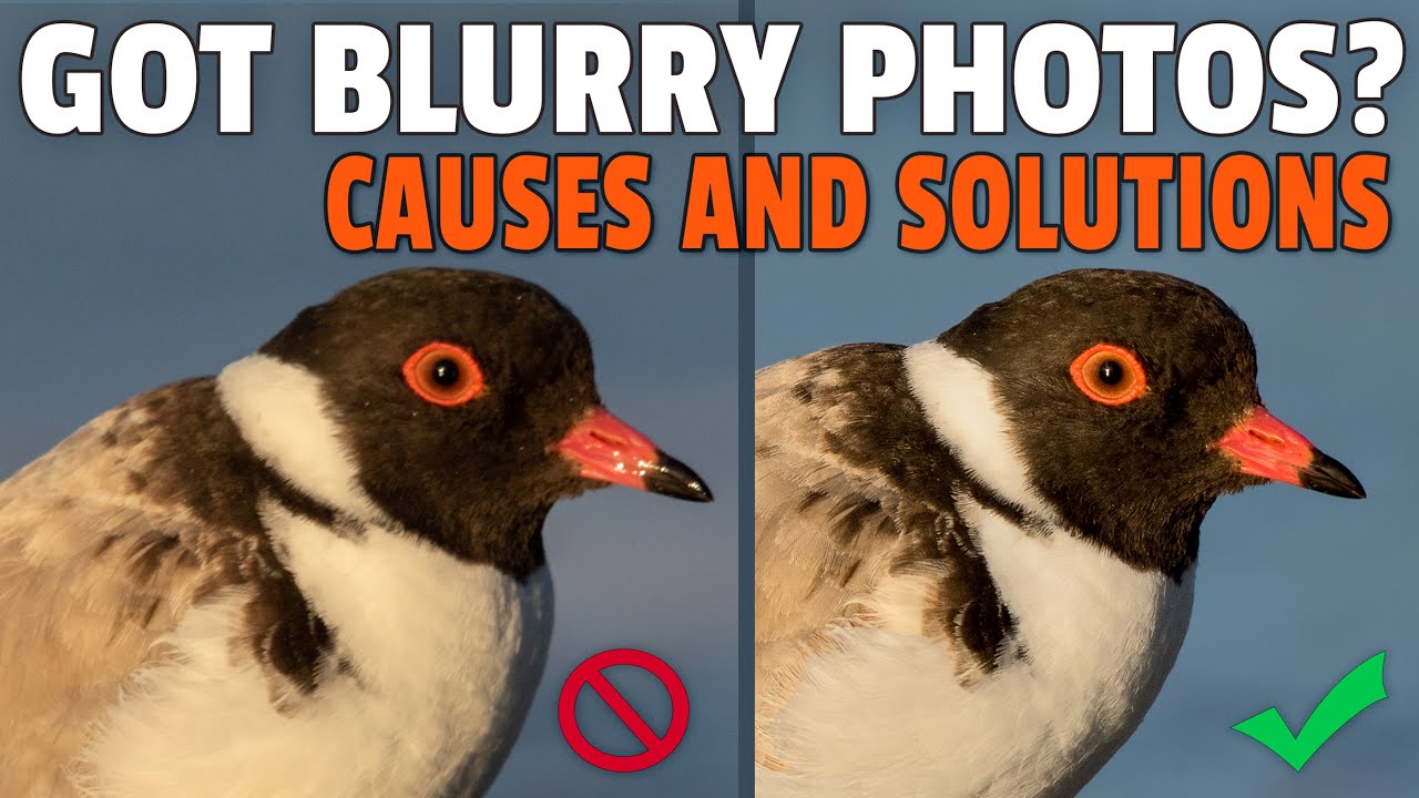 Got BLURRY Photos? Find Out WHY and How to REDUCE Them!