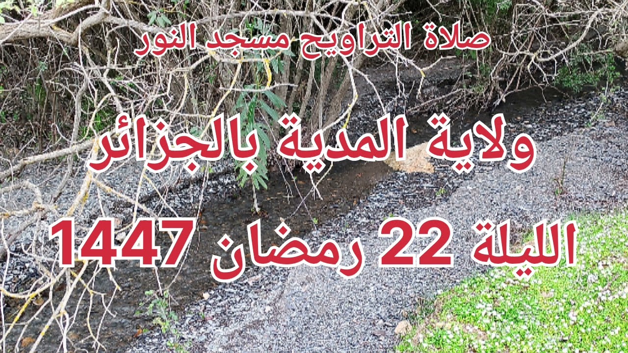 22_ صلاة التراويح مسجد النور ولاية المدية بالجزائر