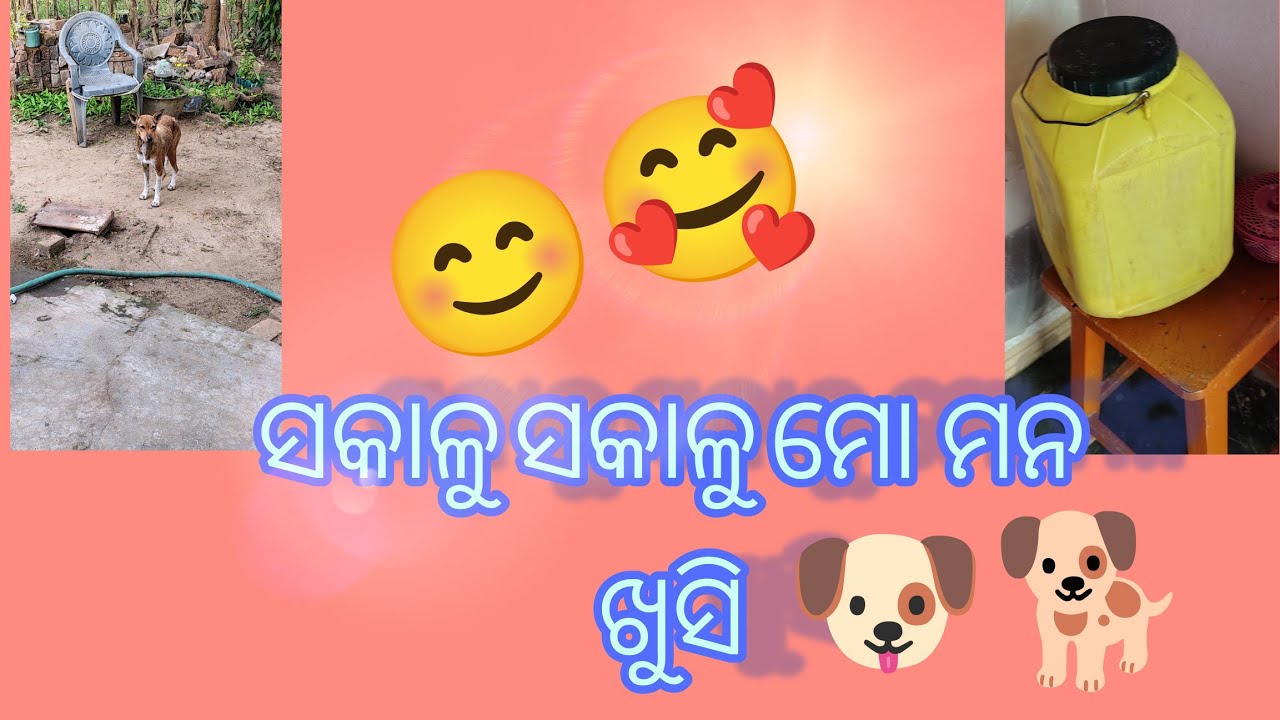 ସକାଳୁ ସକାଳୁ ମୋ ମନ ବହୁତ ଖୁସି ଆଜି 🥰😊👍