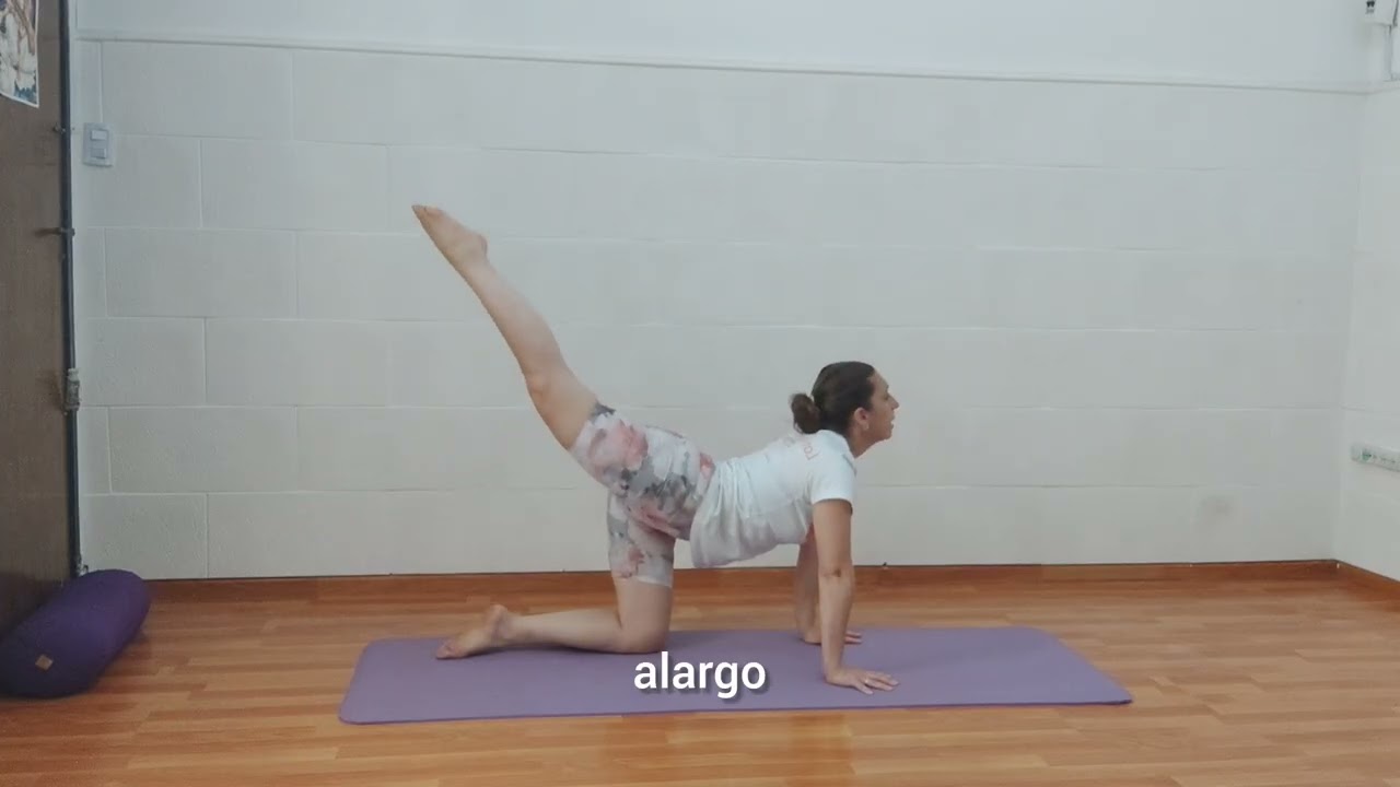 Día 13 de 21 días de Yoga para armonizar cuerpo y mente 