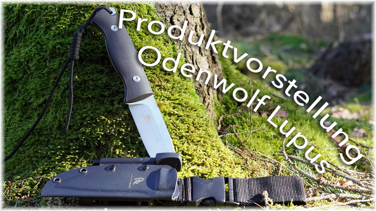 Produktvorstellung Odenwolf (Wolfgangs) Lupus