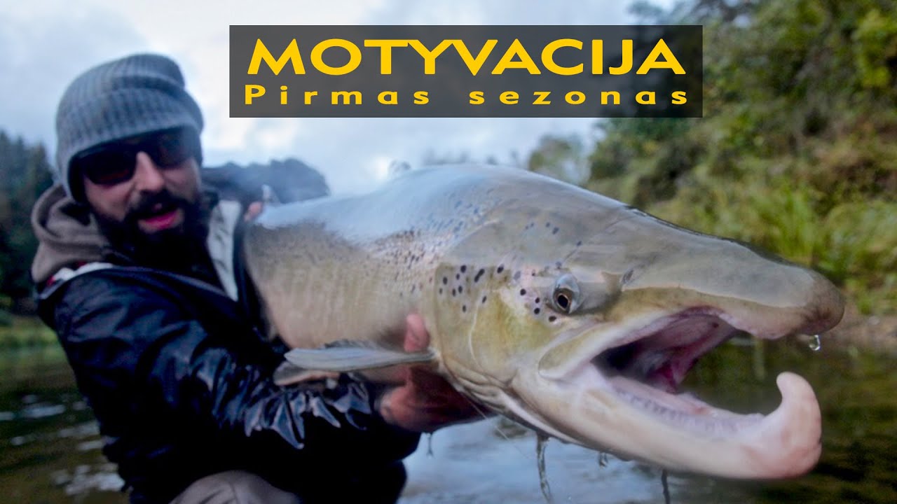 Lašišų žvejyba museline - MOTYVACIJA - Mano pirmas lašišų sezonas