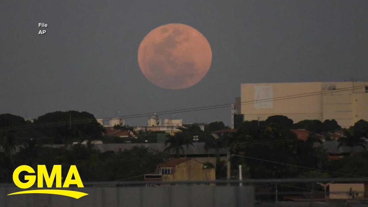 Tips om veilig te blijven tijdens de landelijke hittegolf