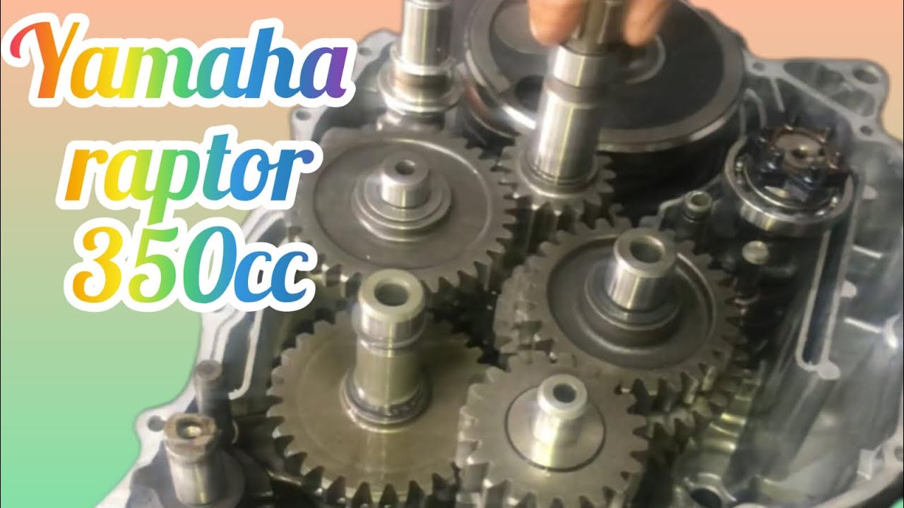 Yamaha Raptor 350 cc Engine Rebuild one by one #videos #yamaha #k t g