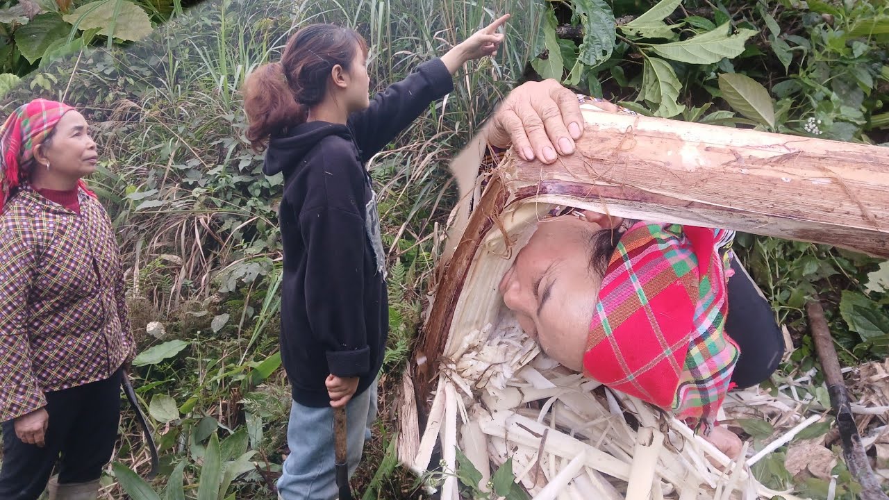 Food Runs Out! Tomorrow I'll Follow the Lazy Woman into the Forest – The Horror Begins