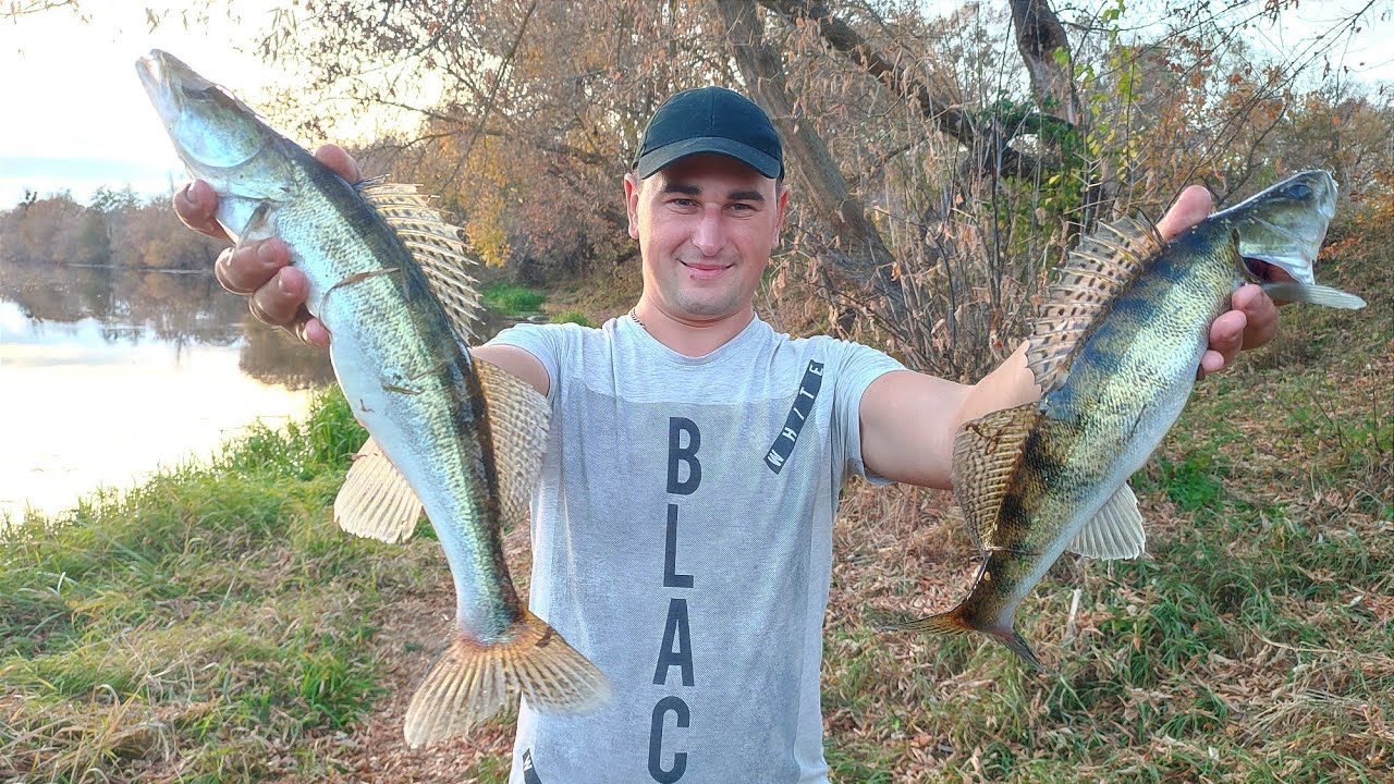 ЦІЛЬ - СУДАК / РИБОЛОВЛЯ  НА ХИЖАКА В ПОТУШІ НА РІЧЦІ ПІВДЕННИЙ БУГ