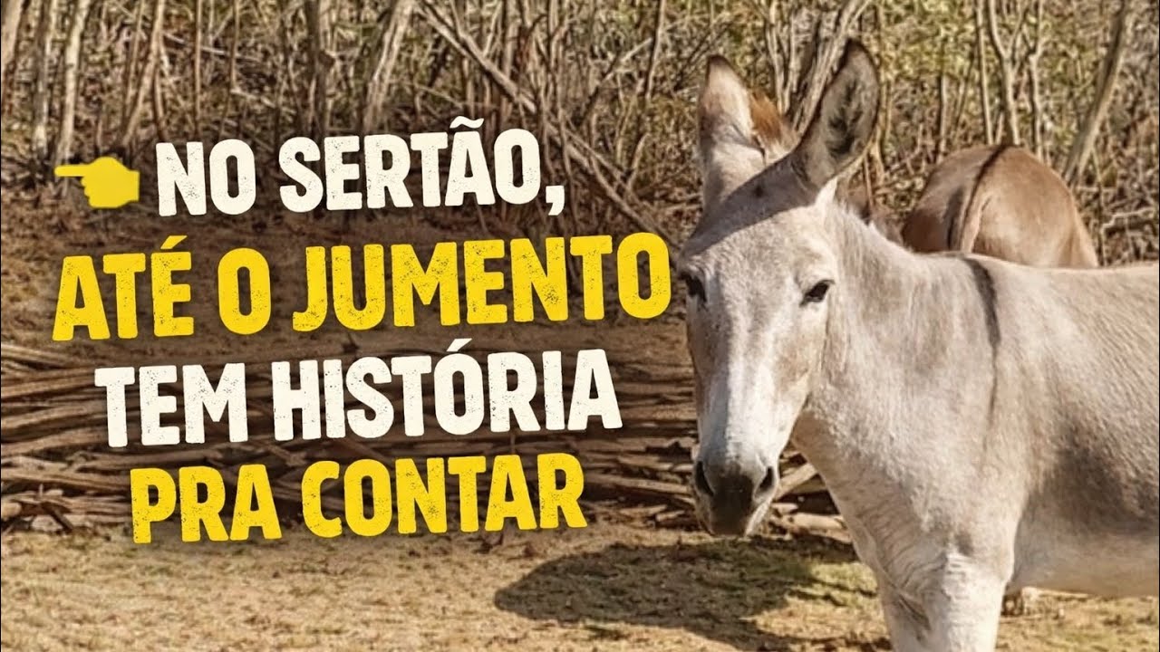 🌵 NO SERTÃO,ATÉ O JUMENTO TEM HISTÓRIA PRA CONTAR  VIDA NORDESTINA, E NÃO PODE FALTAR A PESCARIA NÉ 