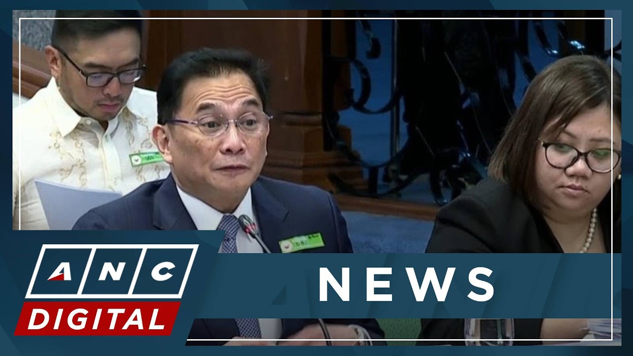 WATCH: DOJ prosecutor general gives updates on flood control cases at Tulfo Blue Ribbon hearing