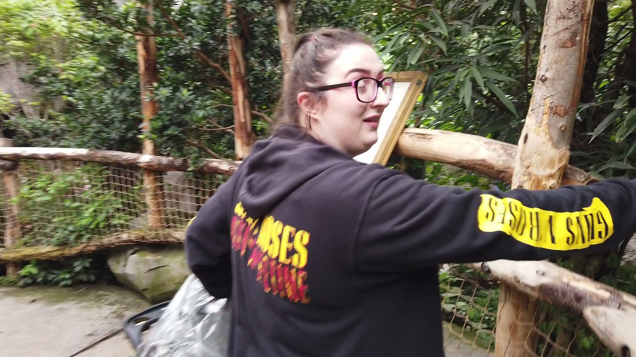 A walk through the islands at Chester Zoo.