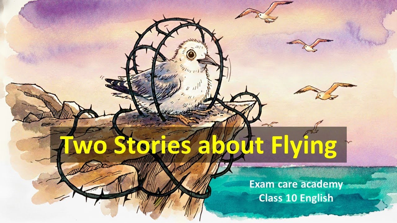 Class 10 English | First Flight | Two Stories about Flying | Complete Summary, Explanation I ECA
