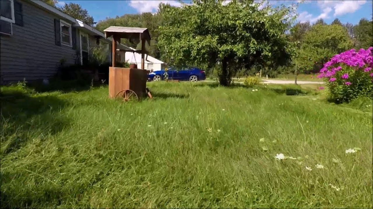 Overgrown Lawn Makeover (Satisfying)