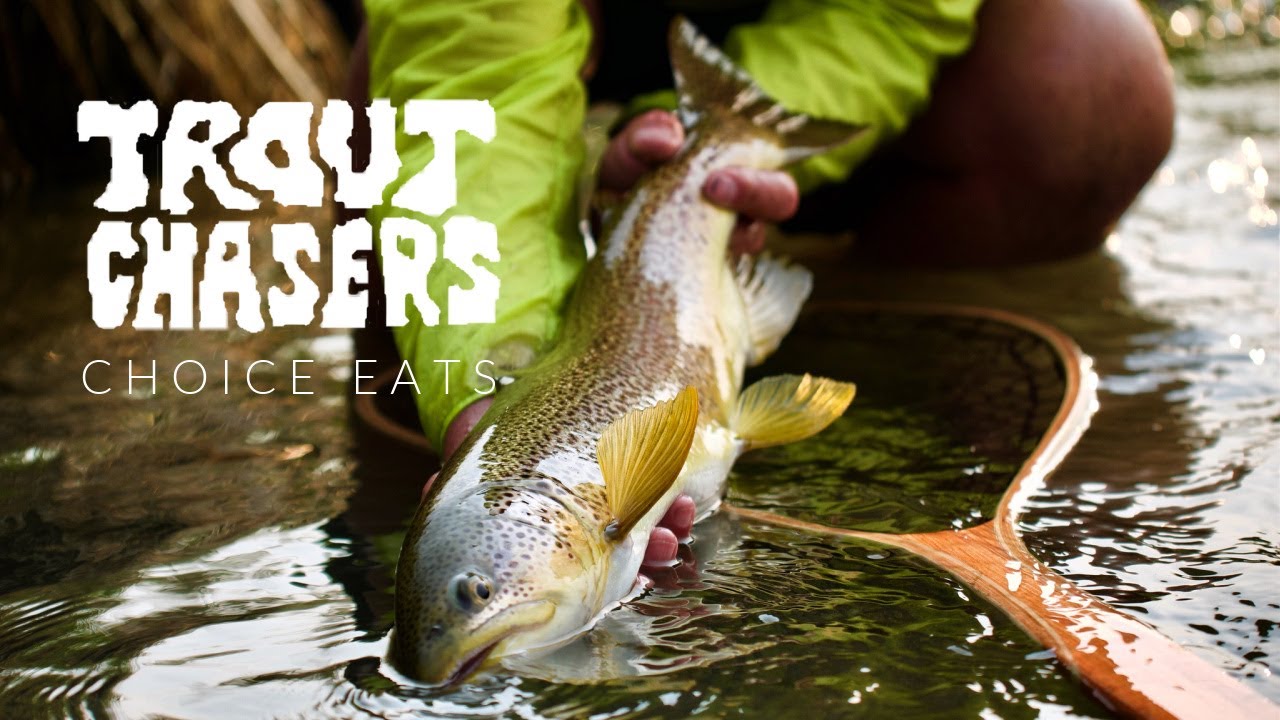 Bow River Fly Fishing - CHOICE EATS - Dry Fly/Sight Fishing