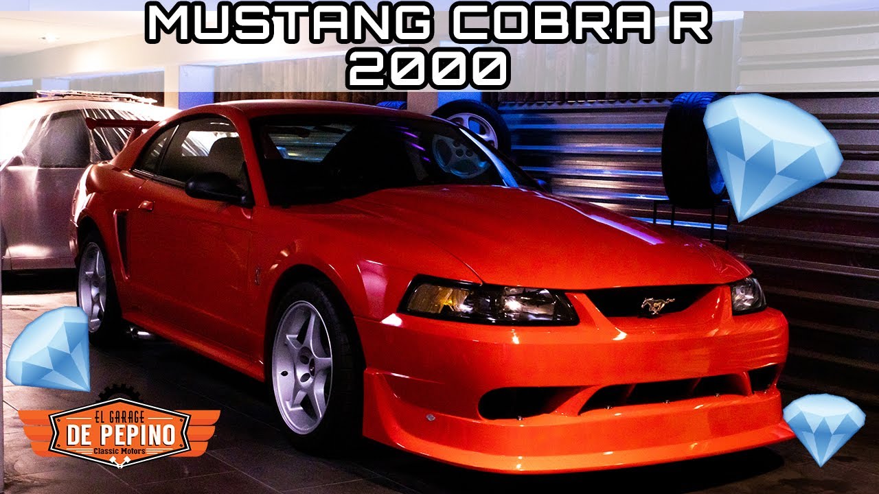 El Santo Grial Americano - Mustang Cobra R 2000