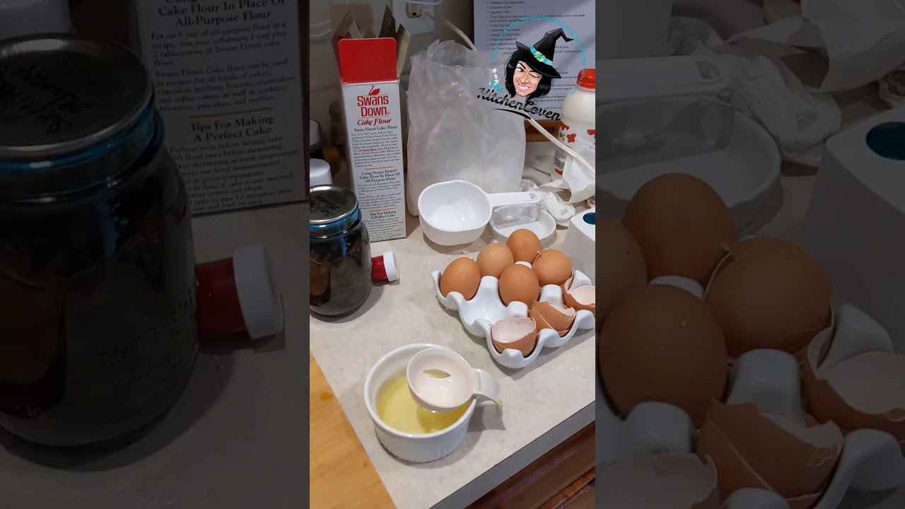 Product Review: VacMaster VP95