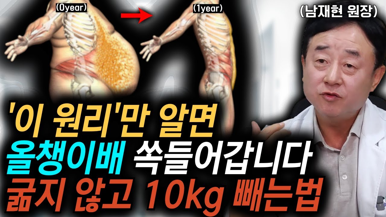 남재현원장 통합 굶지 않고 잘 먹으면서 내장지방을 빼는 방법 내장비만 올챙이배 쏙 들어가는 놀라운 방법