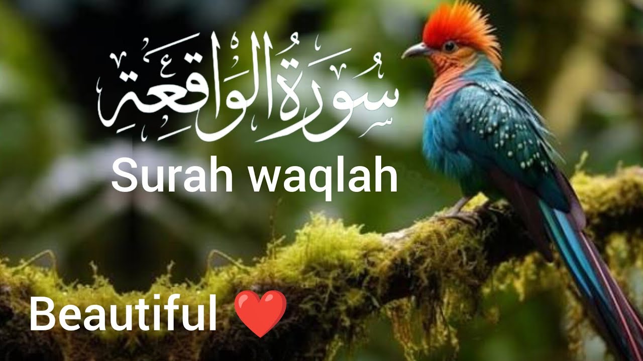 Surah waqlah.  )،،, سورۃ الواقعہ)  quran Kareem tilawat Hafiz Javed beautiful quran 