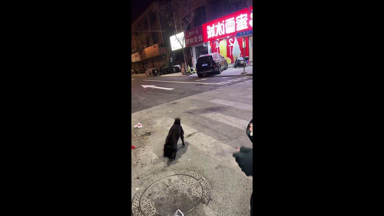 小乖炒饭直播