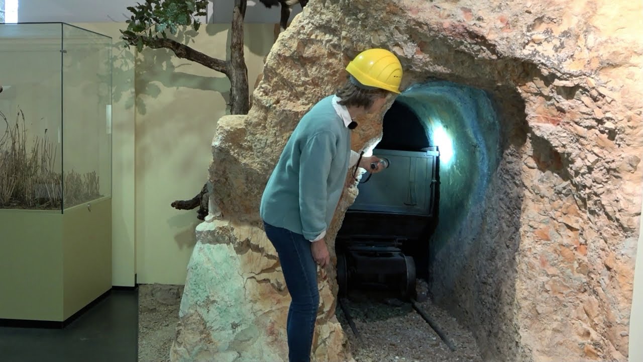 Zeit für Natur im Pfalzmuseum (10) - Raum Nordpfälzer Bergland