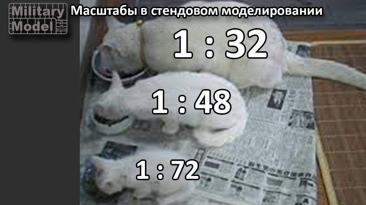 10 популярных масштабов в стендовом моделировании