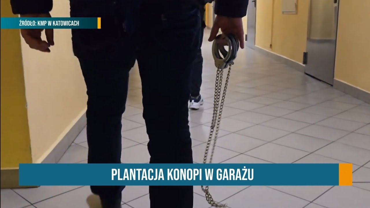 RAPORT: GARAŻOWA PLANTACJA ● OKRADŁ LISTONOSZA ● DROŻEJ ZA WYWÓZ ŚMIECI |6.02.26