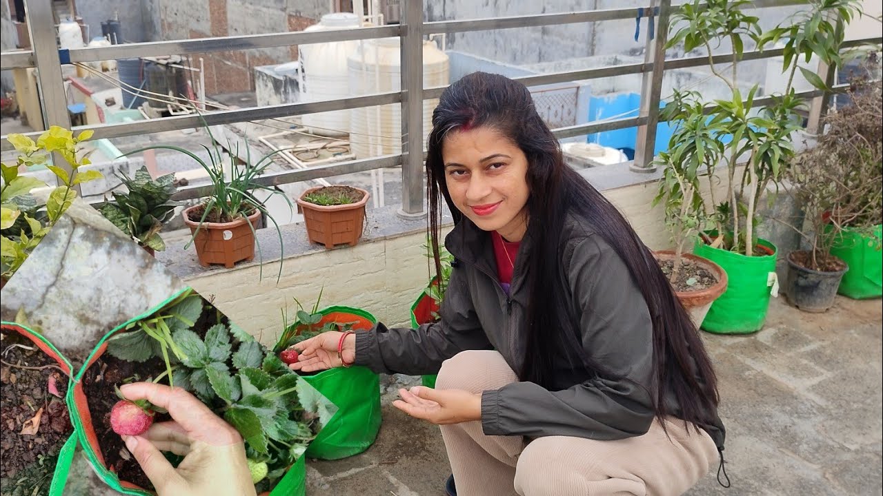Yah Kya Ho Gaya strawberry ko?🙀🙀#Daly Vlog
