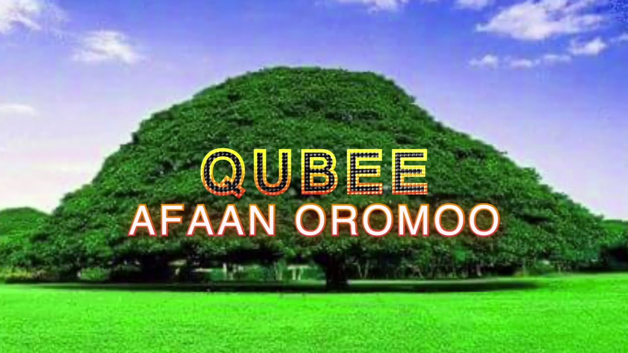Barnoota Qubee Afaan Oromoo Kutaa 4ffaa