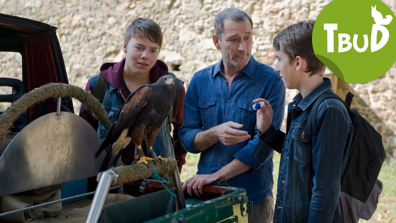 Adleraugen (Folge 55) | Tiere bis unters Dach