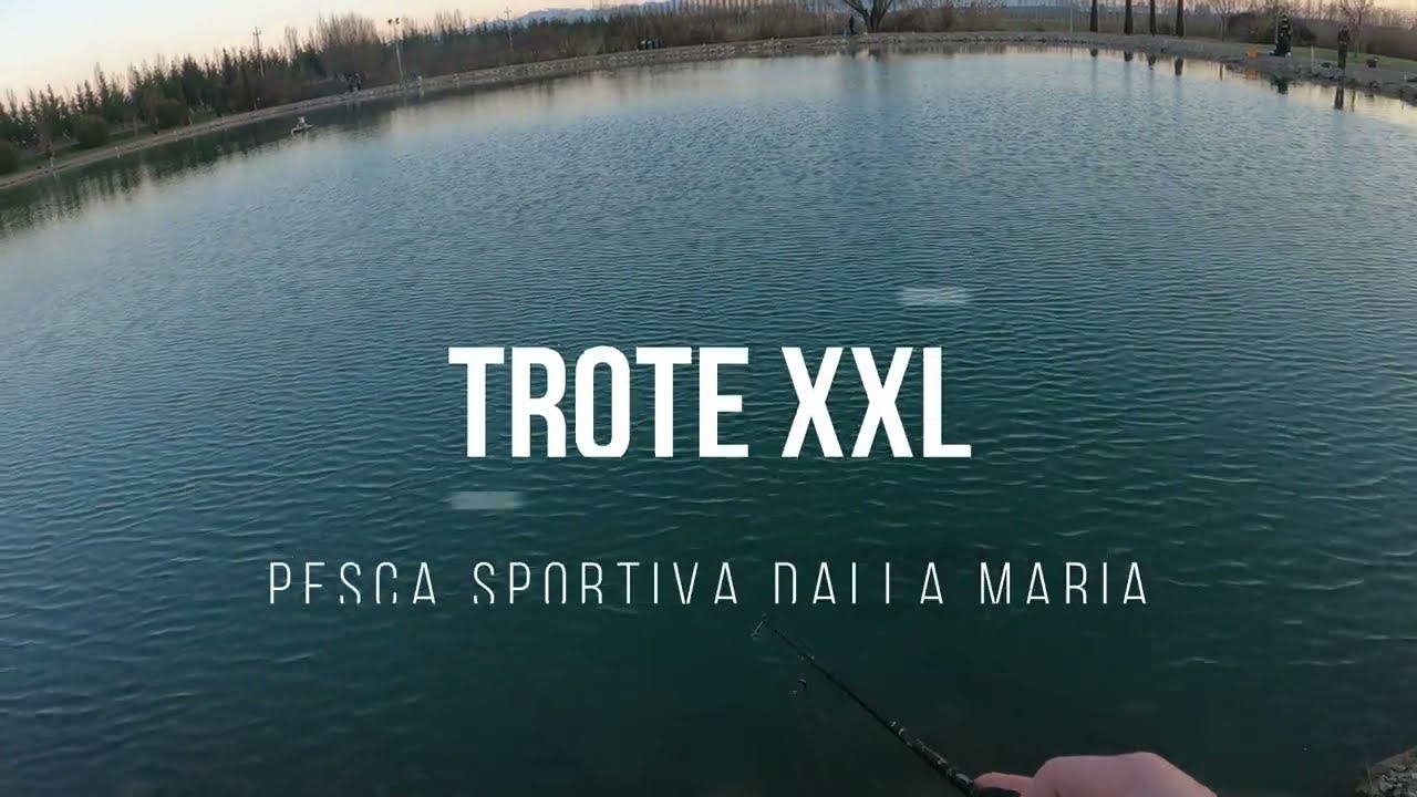 TROTE XXL!! | Pesca Sportiva dalla Maria, Ronco all'Adige (VR) |