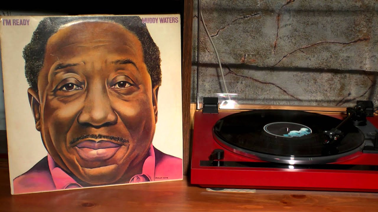 Muddy Waters - 