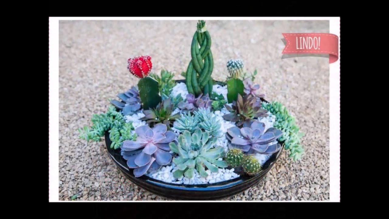 DICAS DO RANCHO -  como fazer mini Jardim de Suculentas