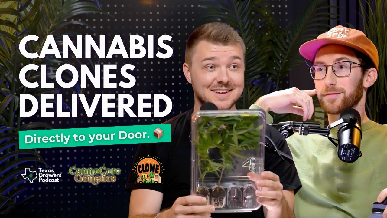 Growers Get Cannabis Clones Delivered in the Mail!?