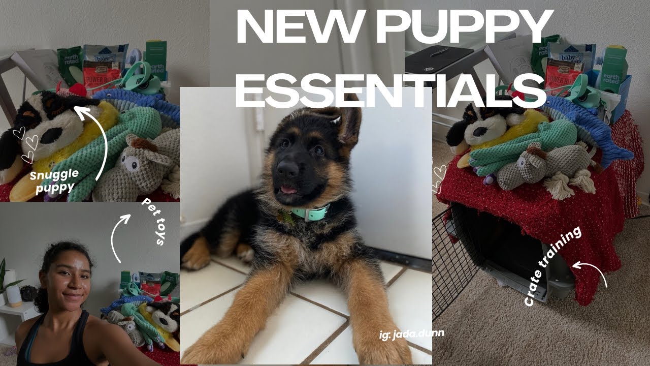 New Puppy Essentials | New puppy haul