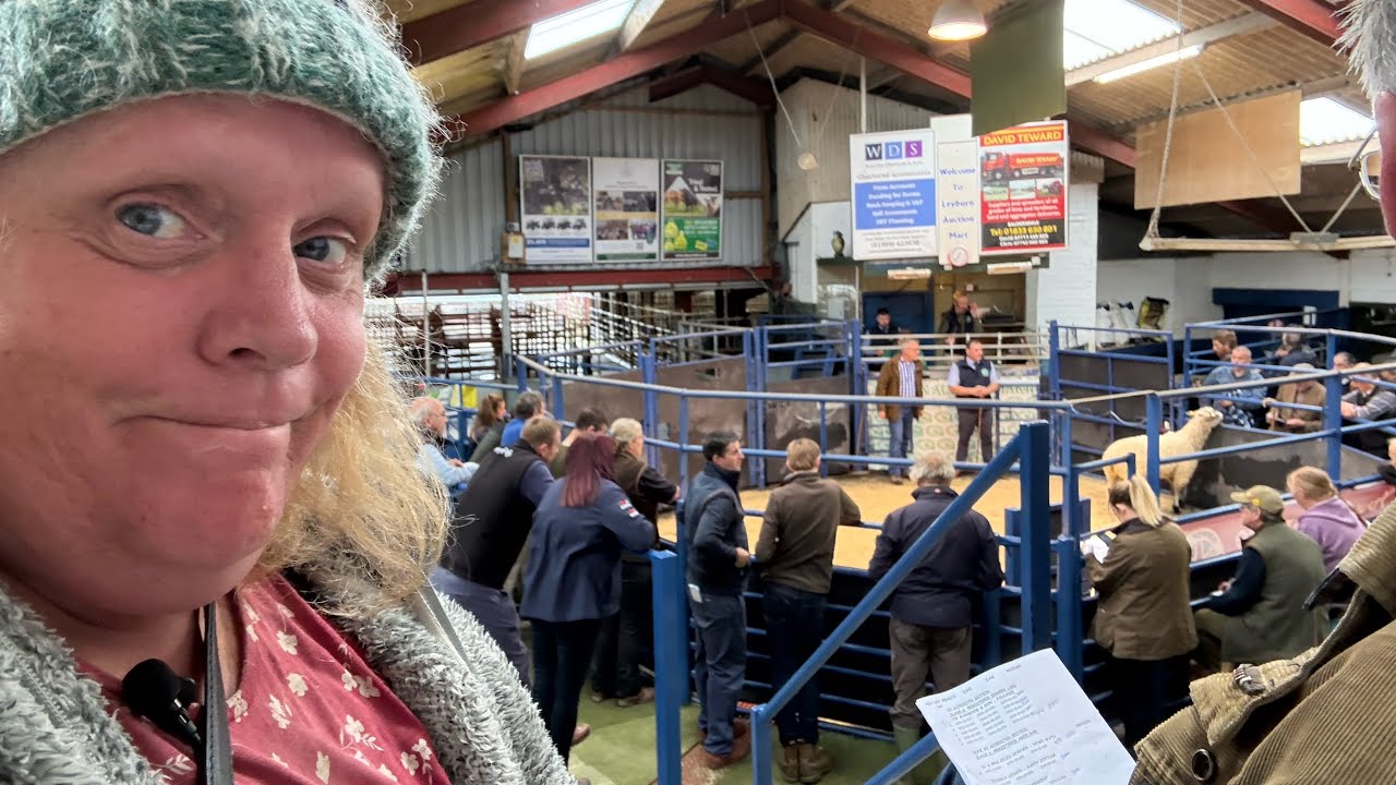 Teeswater Association Auction
