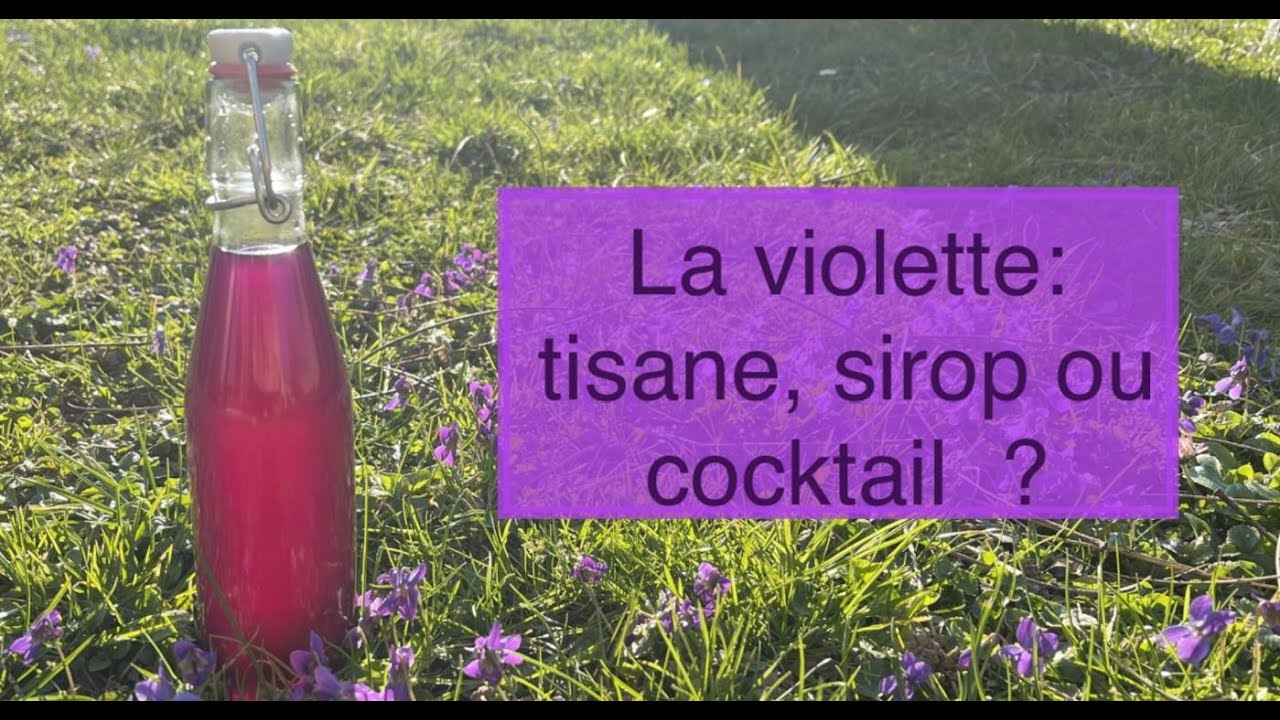 160 Tisanes et cocktails au sirop de violettes