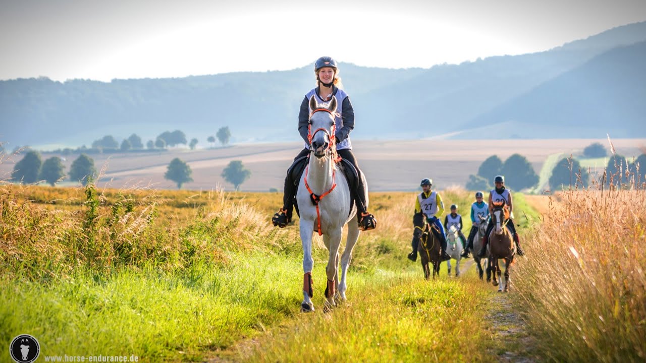 Vlog #1 - Weserbergland 80km Endurance Ride