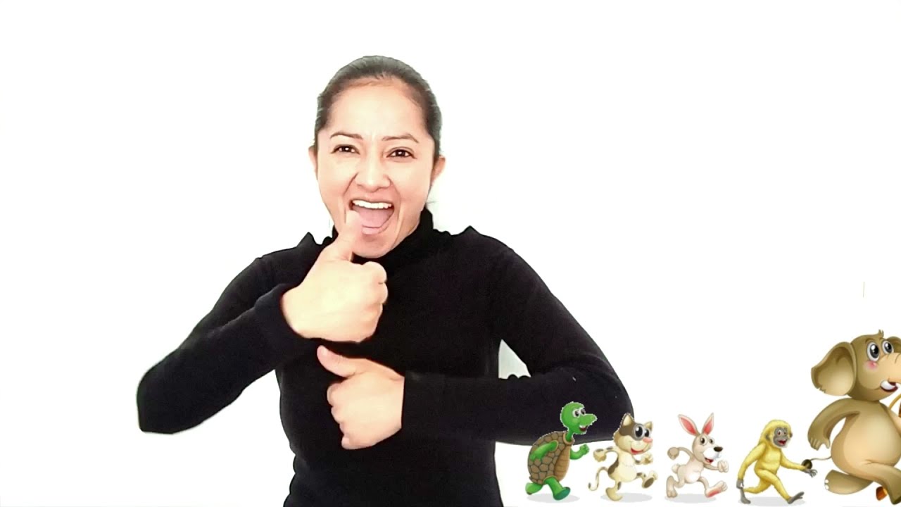La Liebre y la Tortuga en LSM