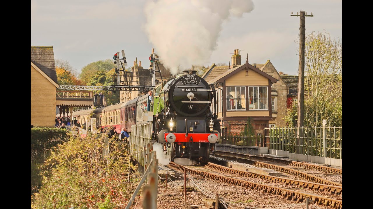 Nene Valley Railway | Saturday Morning with A1 60163 'Tornado' - Saturday 26th October 2024