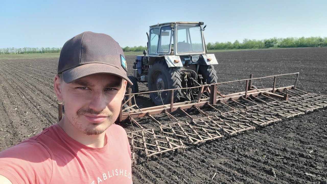 🌻Досходове боронування соняшника🌻