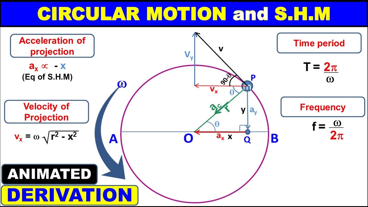 Uniform Circular Motion and SHM || Simple Harmonic Motion || Oscillatory Motion || Periodic Motion
