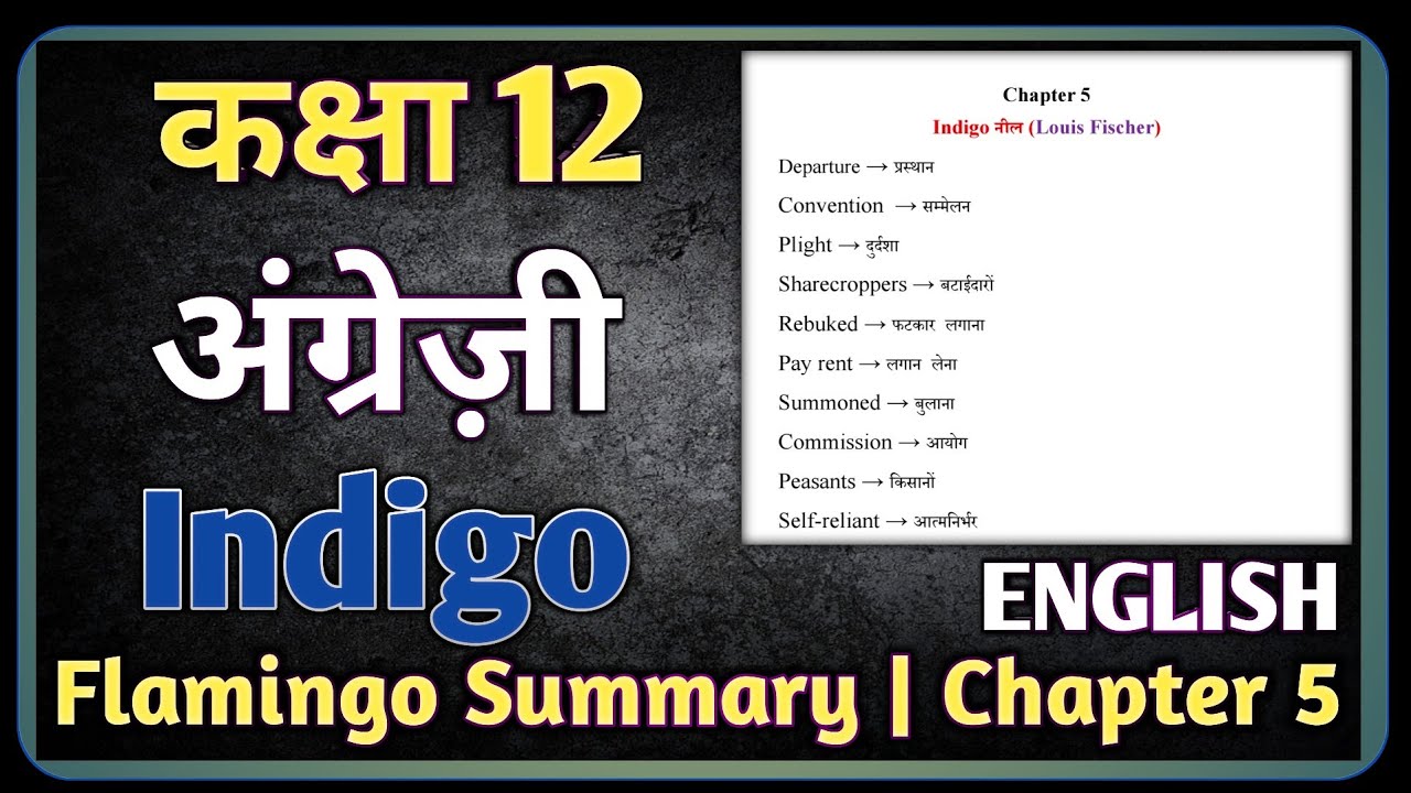 class 12 English Summary Chapter 5 || Indigo || Flamingo Book  2025-26
