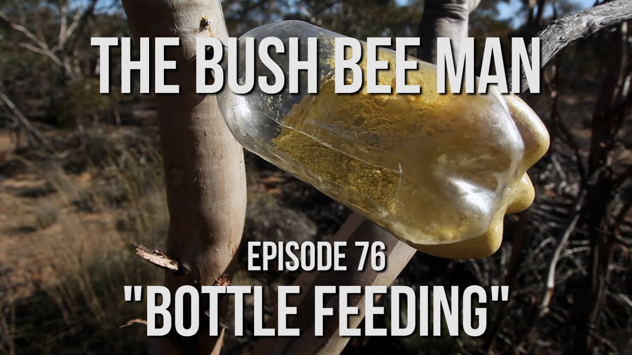 DIY Bottle Pollen Feeder - Episode 76: 