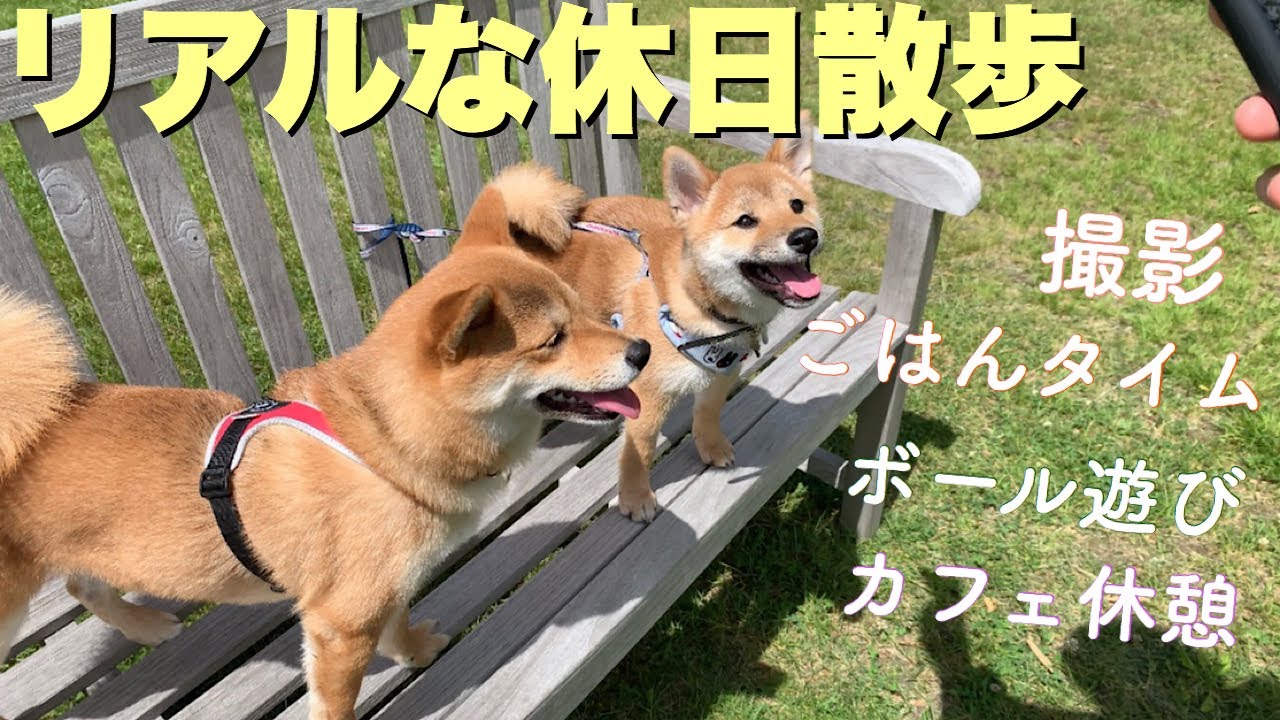 リアルな休日散歩〜アルテピアッツァ美唄に行ったよ〜
