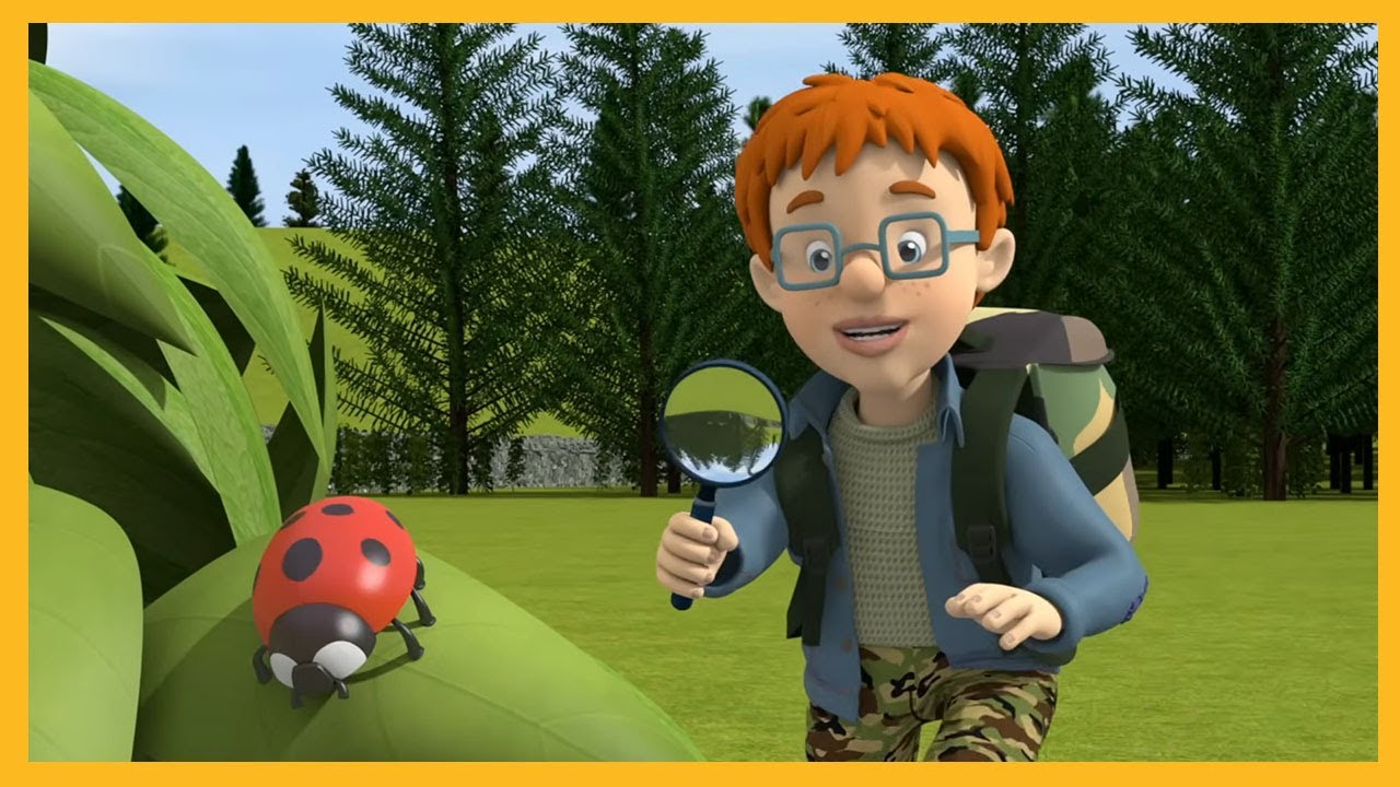 Norman avvista una simpatica coccinella 🔥 Sam il pompiere stagione 13