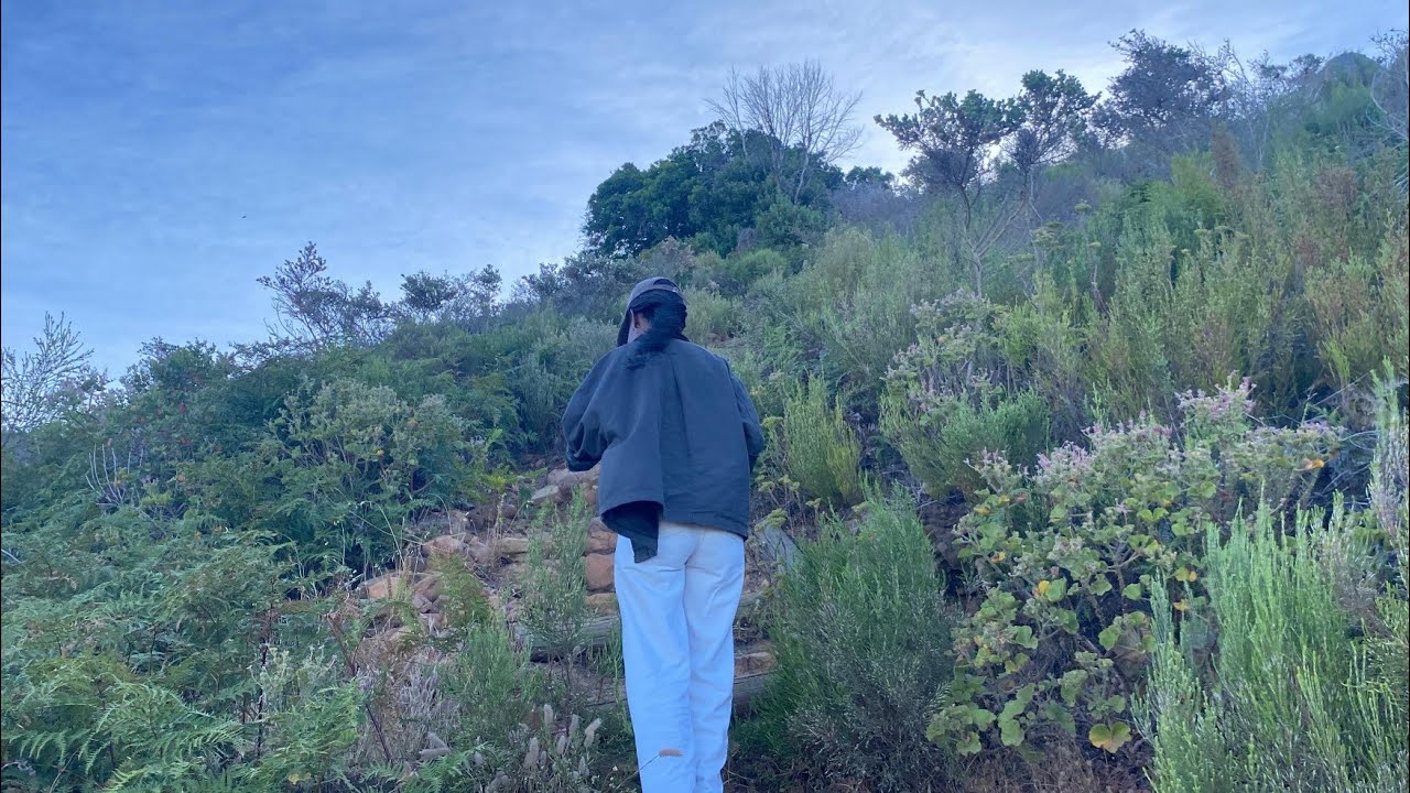 Sunset Hike to the Rhodes Memorial then Kings Blockhouse